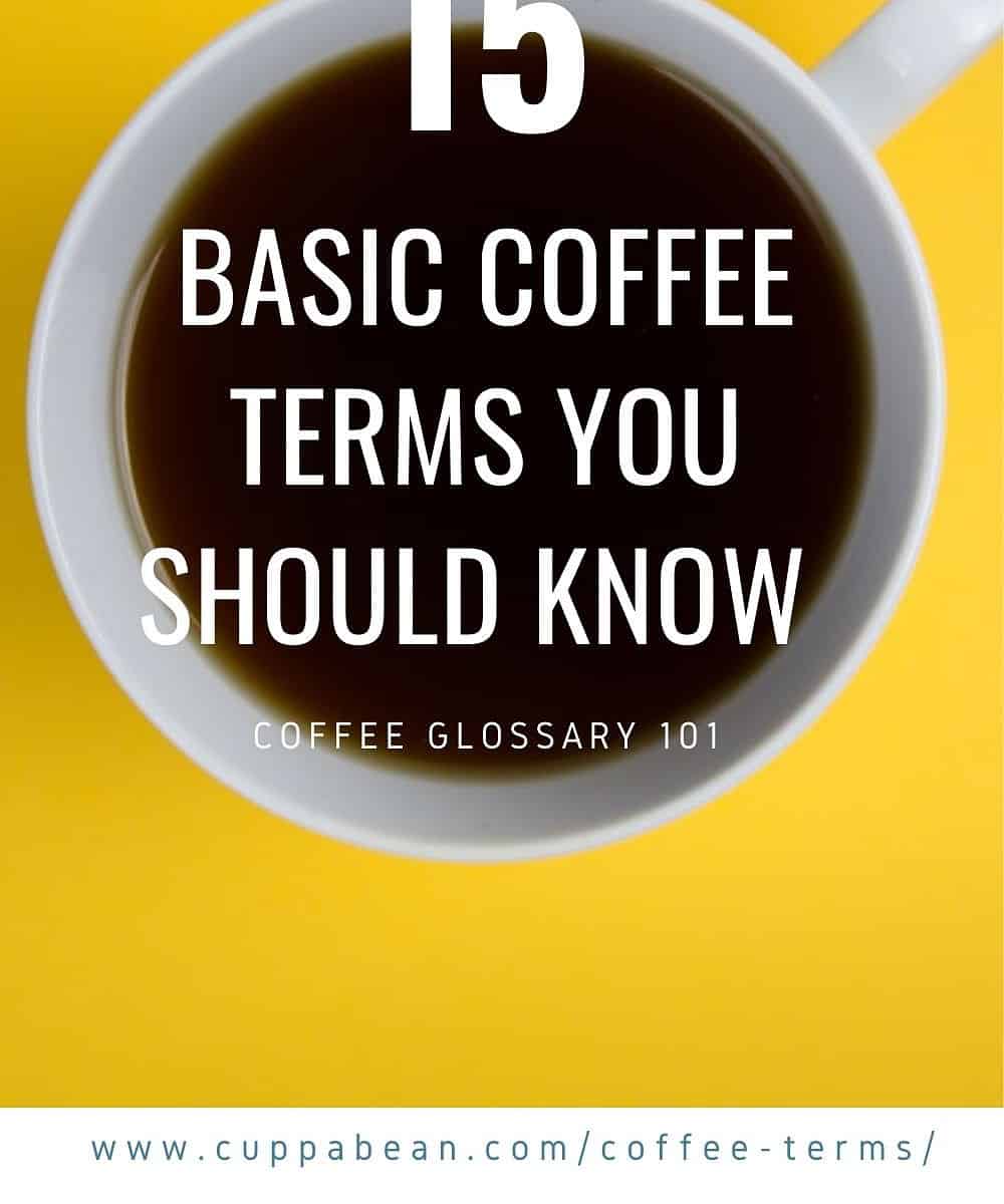 Coffee Glossary 101: Basic Coffee Terms You Should Know