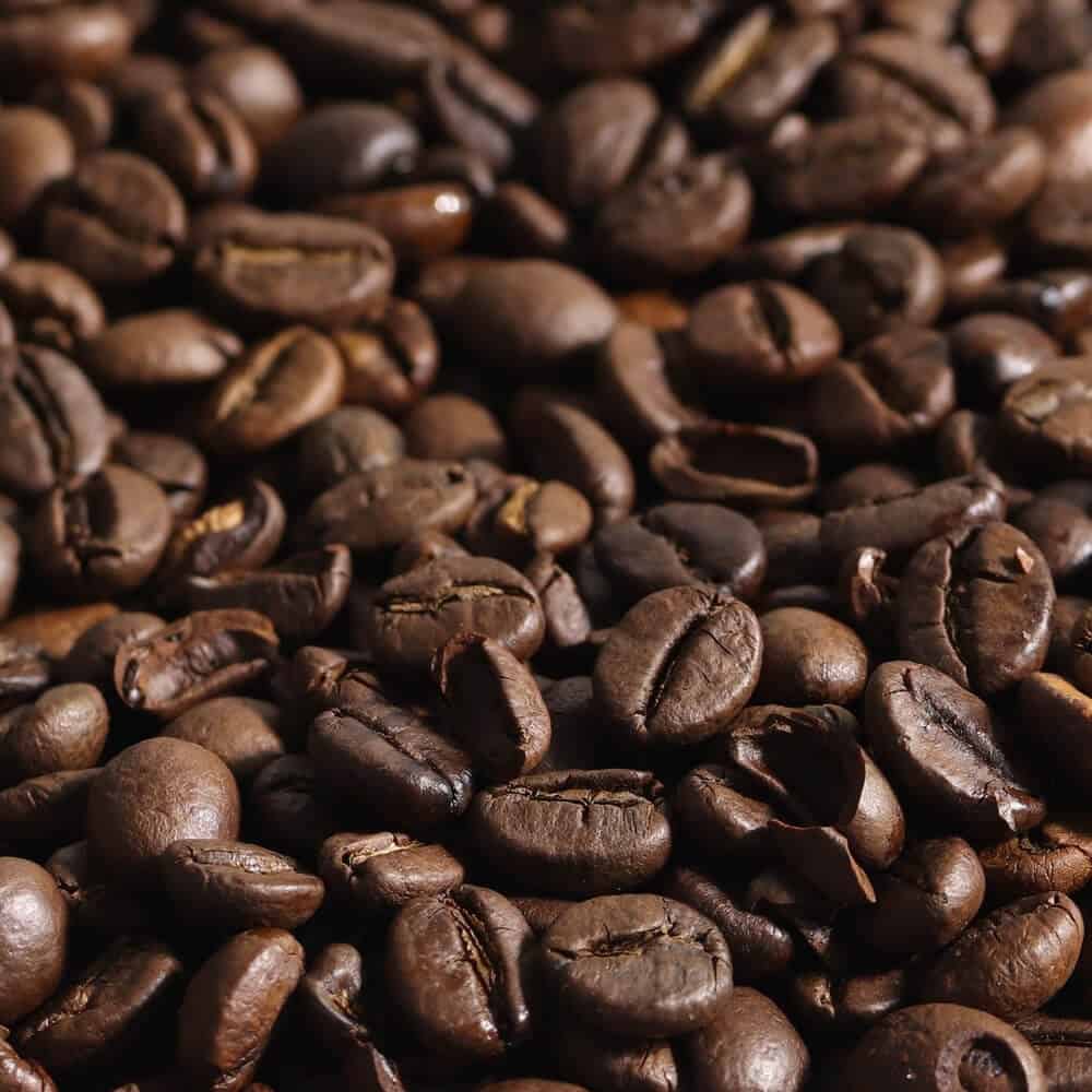 dark roast coffee bean