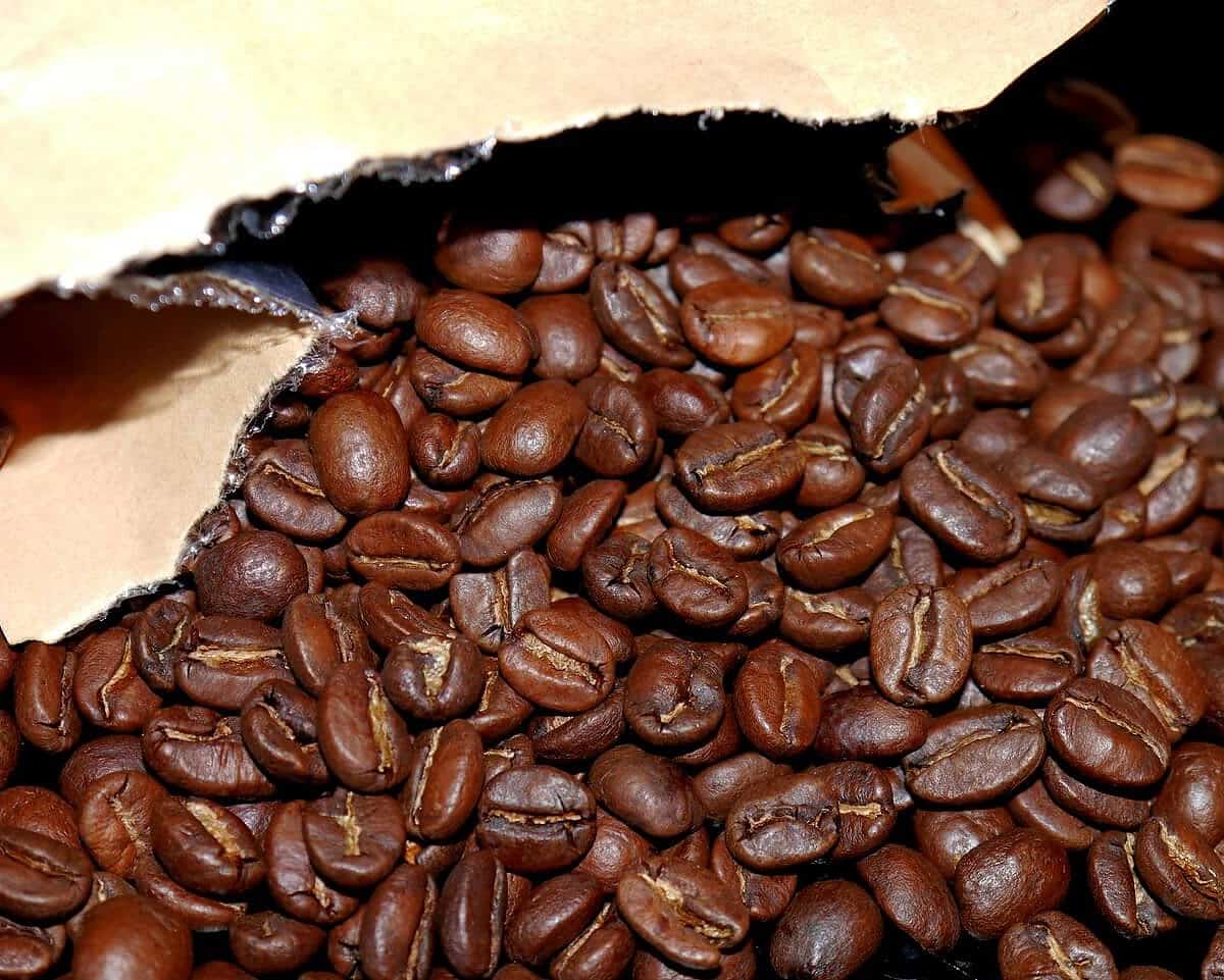 how to choose good coffee beans